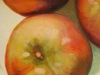 gala-apples-detail-2