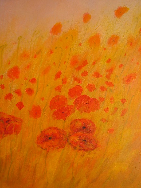 poppy-meadow-detail-2