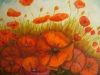 poppies