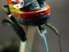 alonso0982